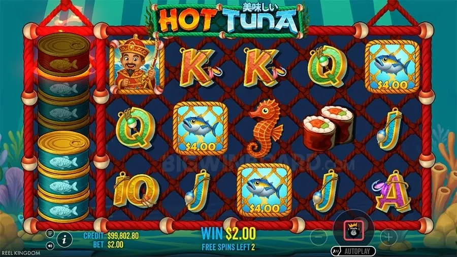 Person playing live casino on a mobile phone
